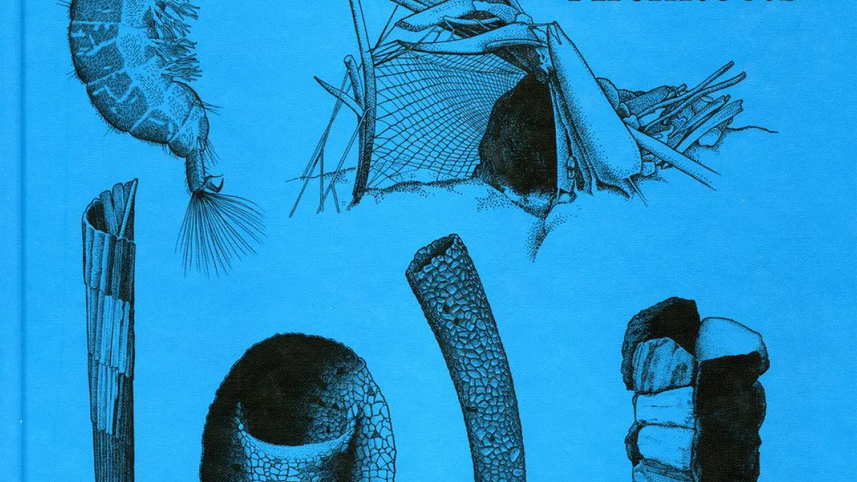 商品画像：Amazon.com: Caddisflies: The Underwater Architects (Heritage 1